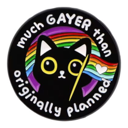 Much Gayer Than Originally Planned pin